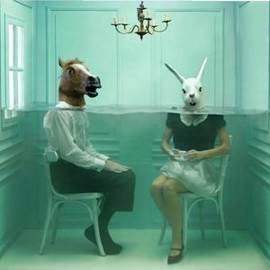 Meet your Posher, Bella